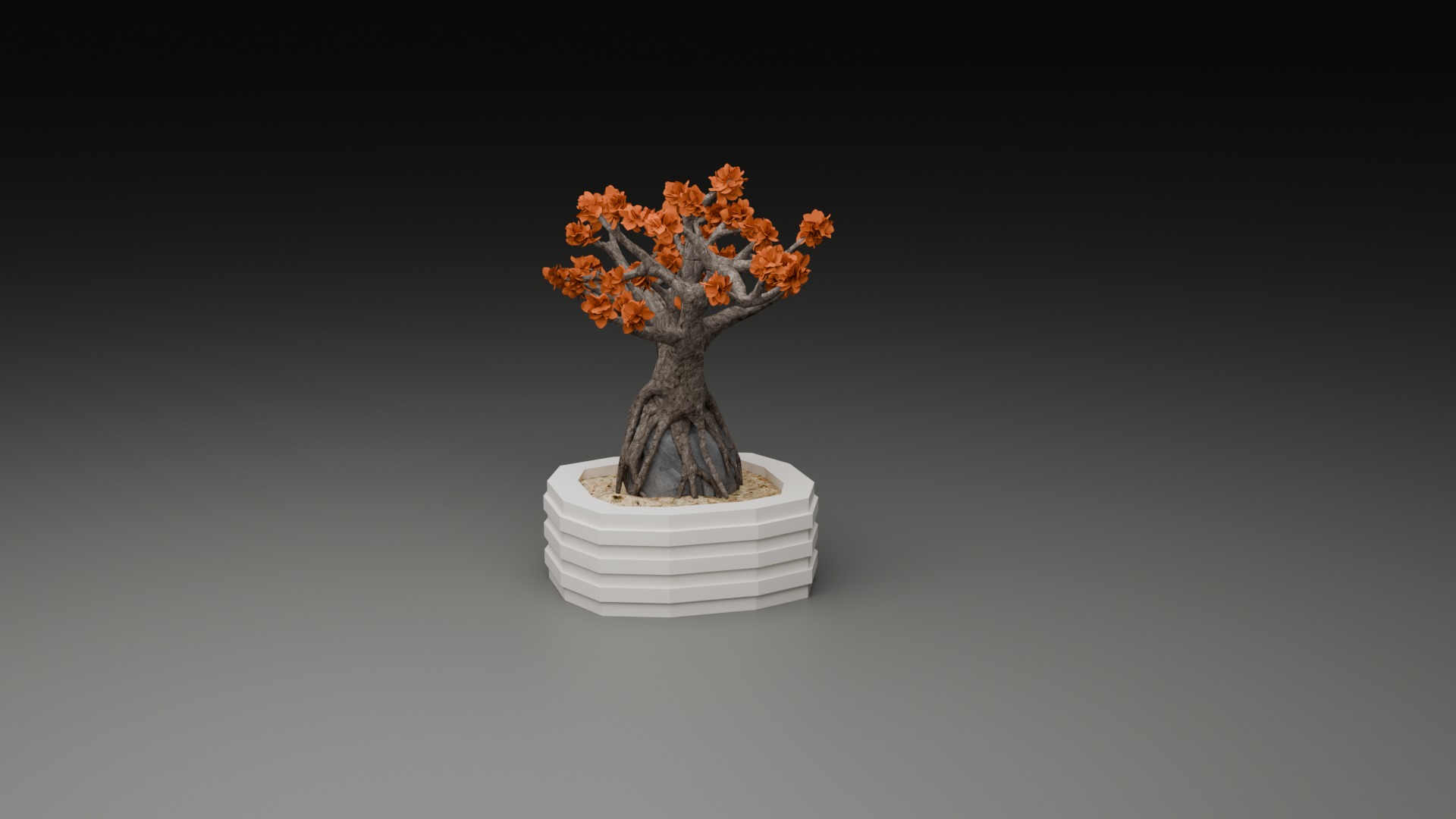 Indoor Plant 3D Model Collection_77