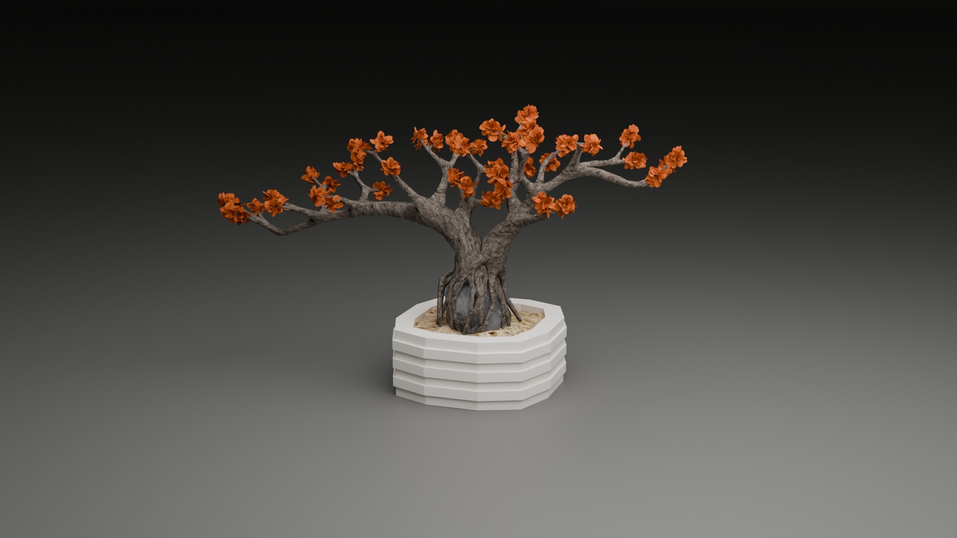 Indoor Plant 3D Model Collection_74