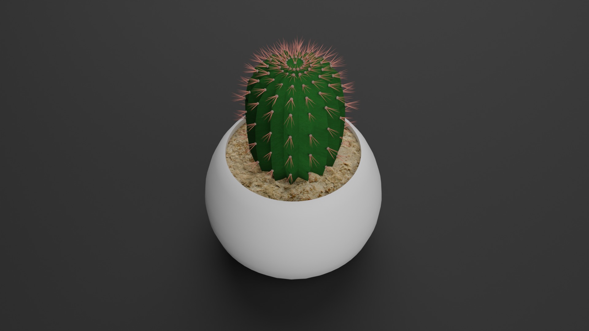 Indoor Plant 3D Model Collection_20