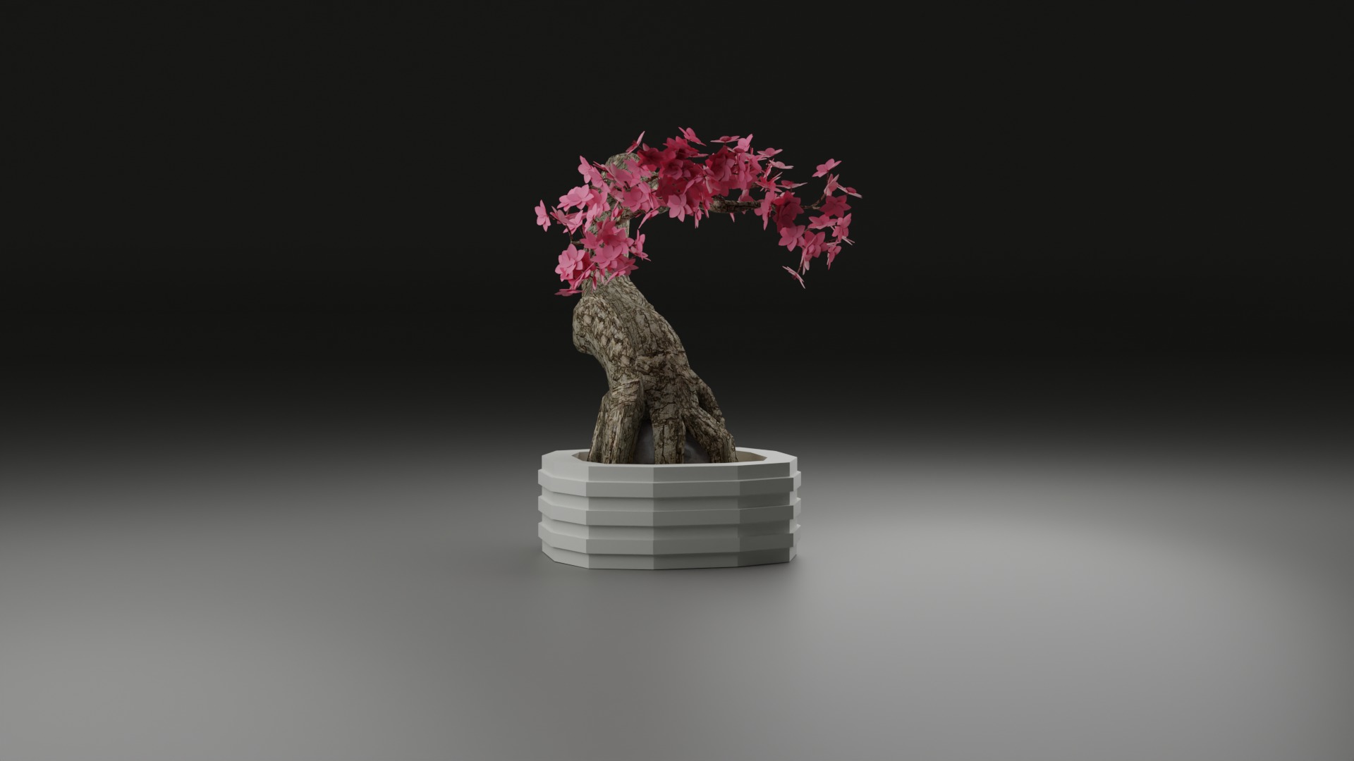 Indoor Plant 3D Model Collection_57