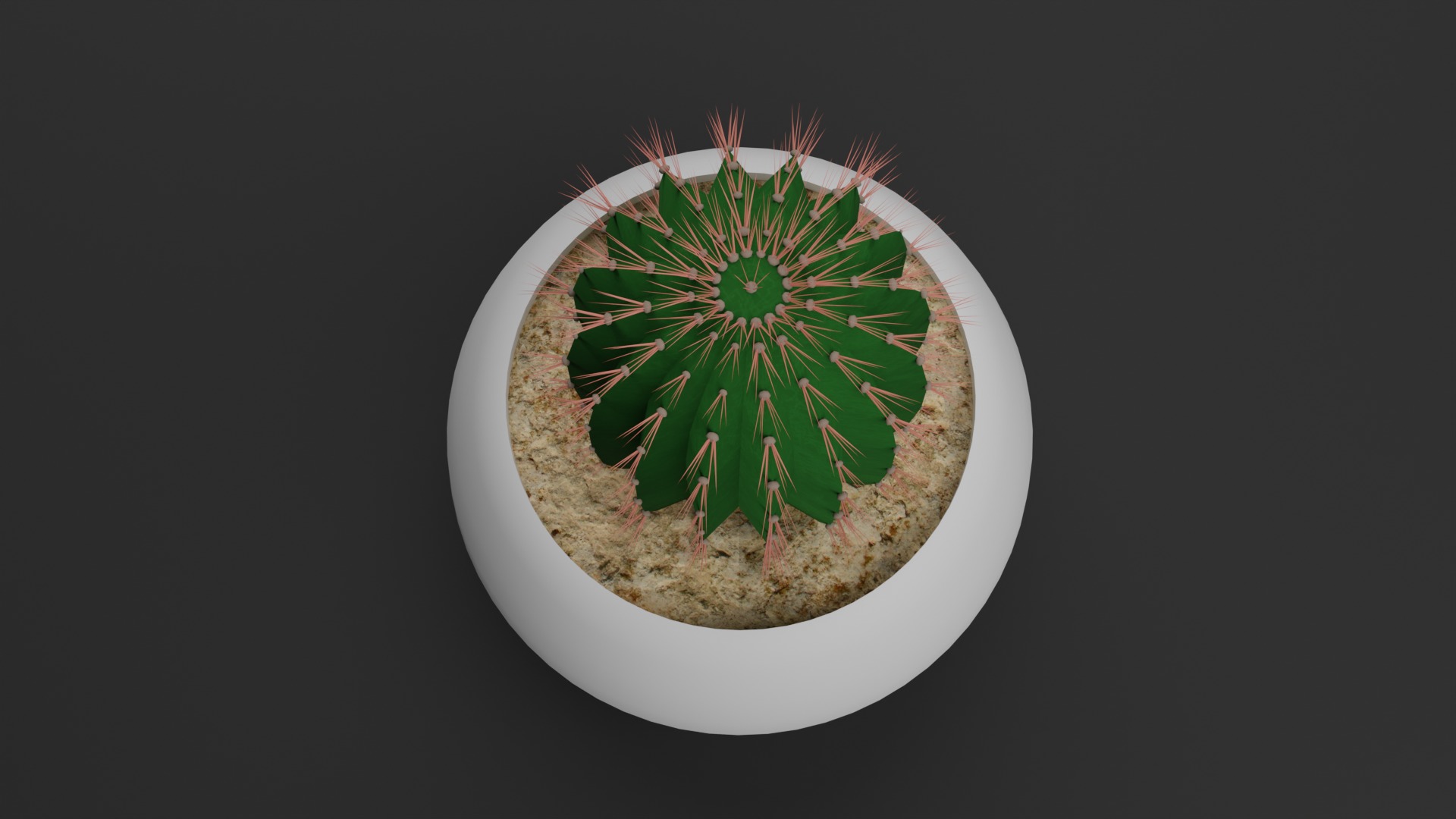 Indoor Plant 3D Model Collection_23