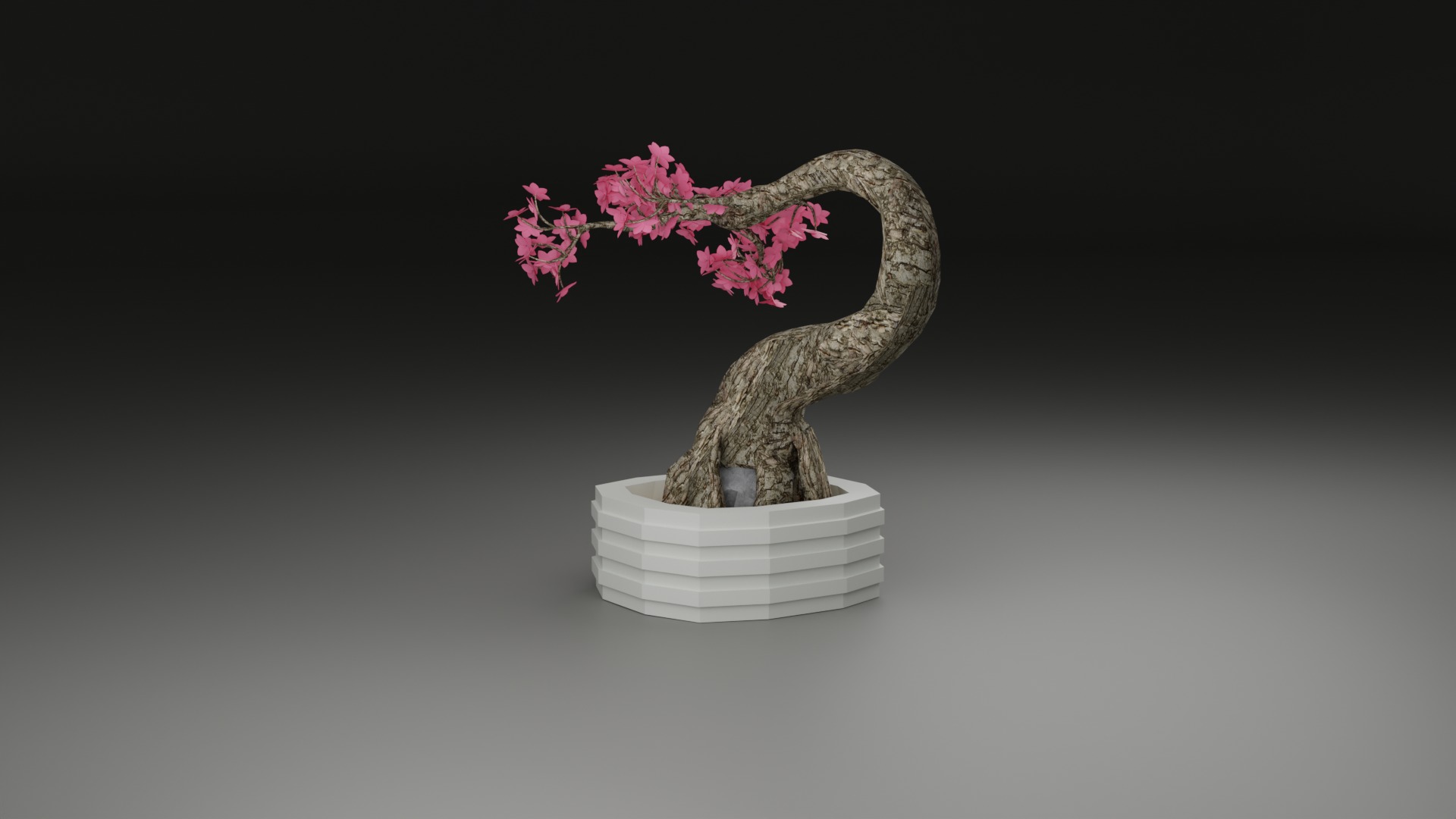 Indoor Plant 3D Model Collection_51
