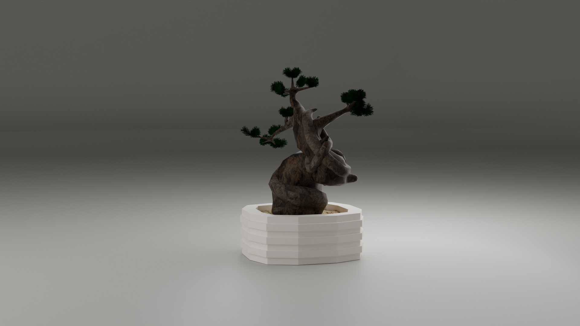 Indoor Plant 3D Model Collection_100
