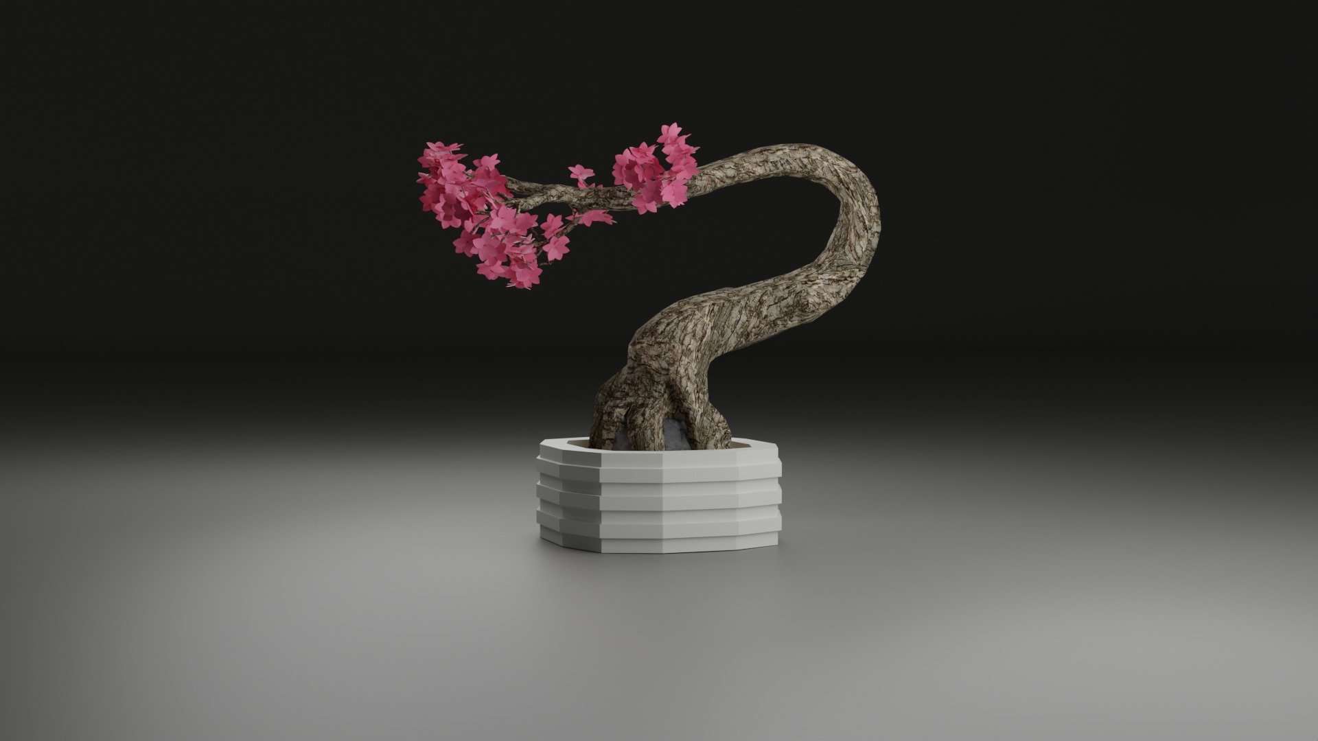 Indoor Plant 3D Model Collection_49