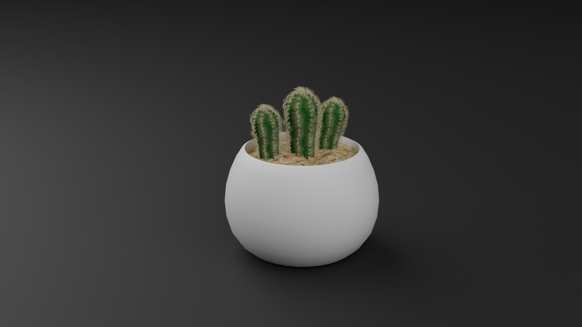 Indoor Plant 3D Model Collection_7