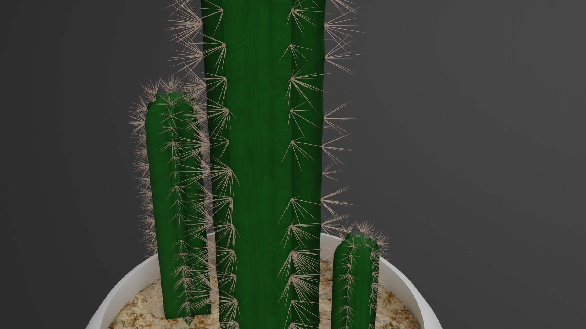Indoor Plant 3D Model Collection_40