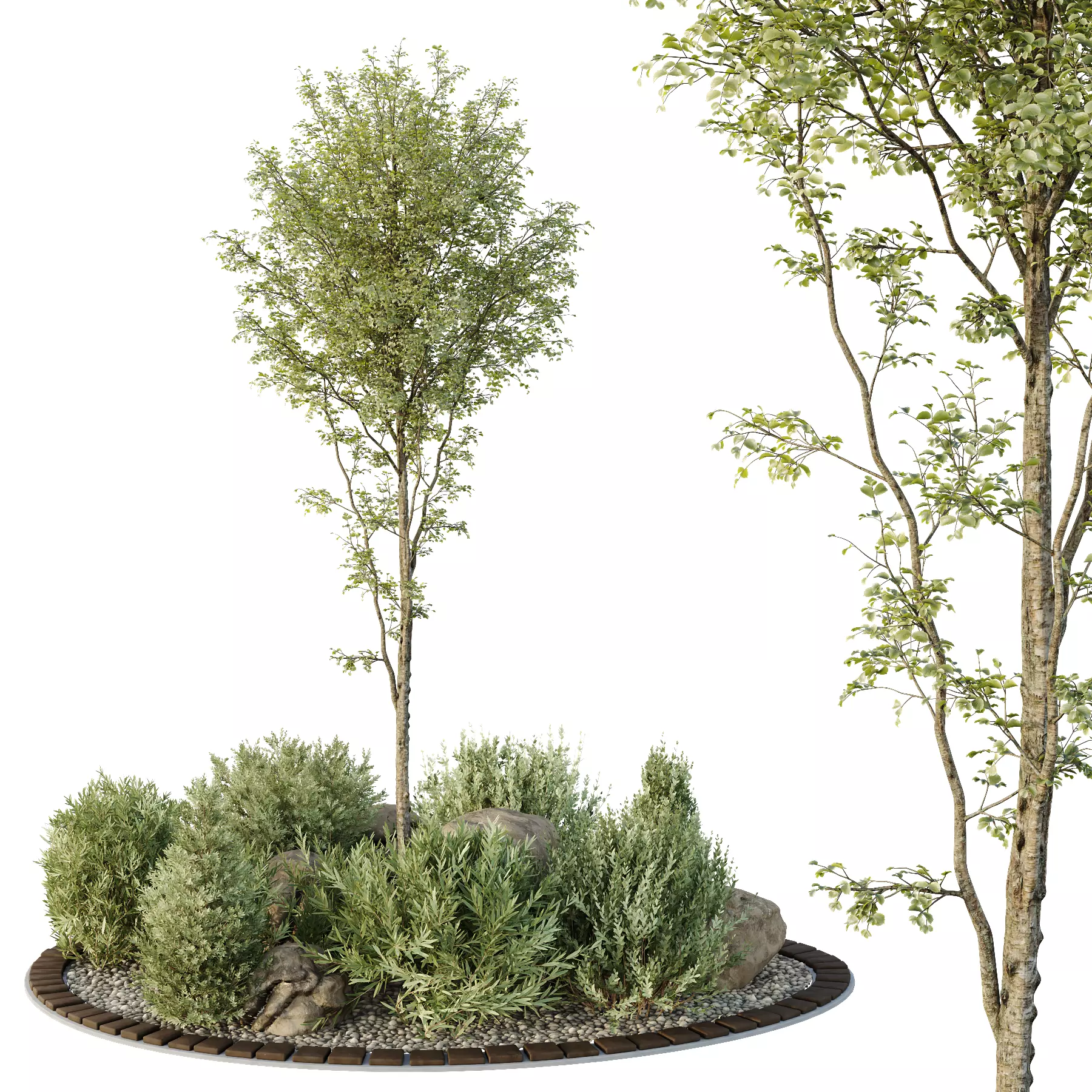 HQ Tree and bush garden box outdoor VOL 40 3D model