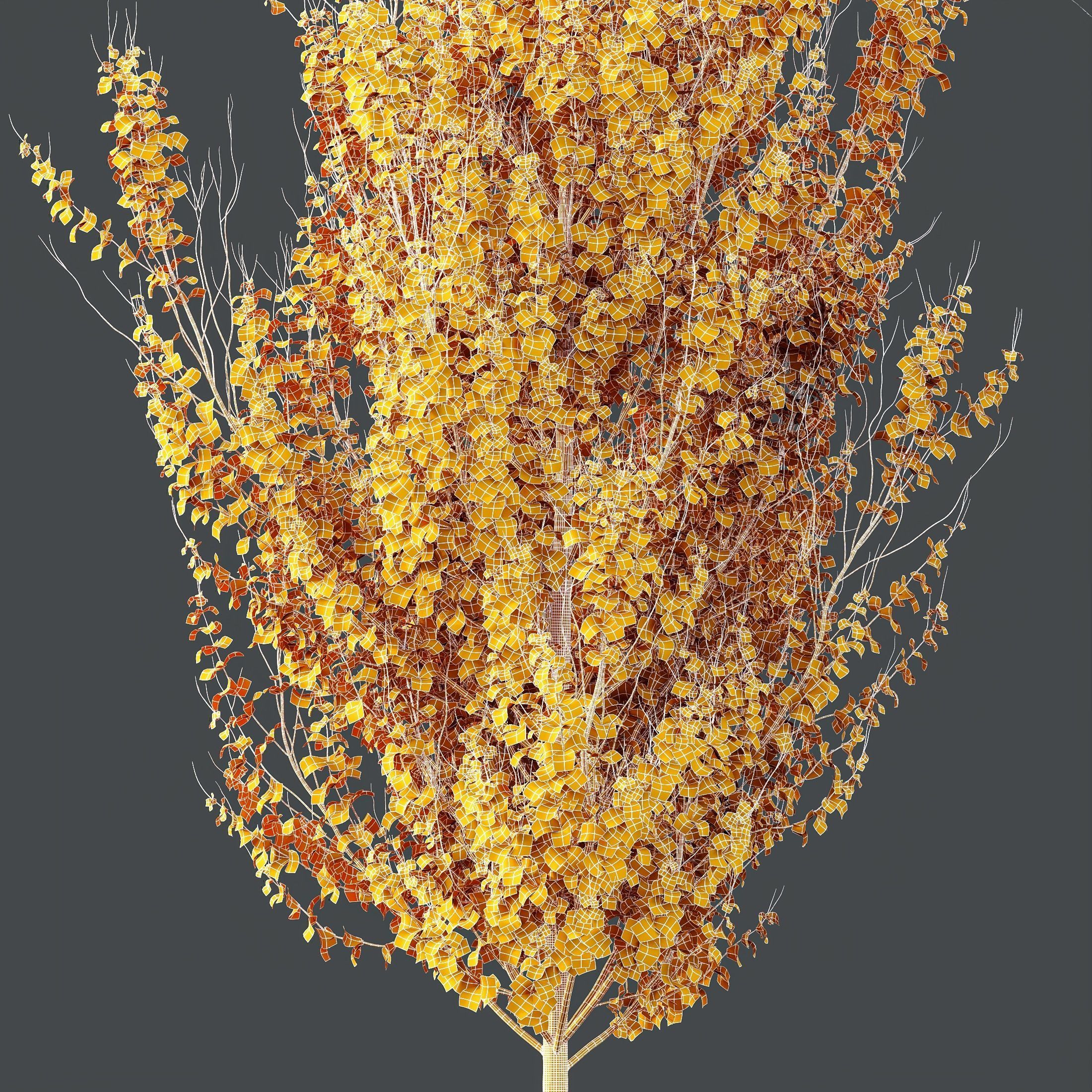 HQ Plants Acer X freemanii Freeman Maple Sapindaceae Set06 3D model_3