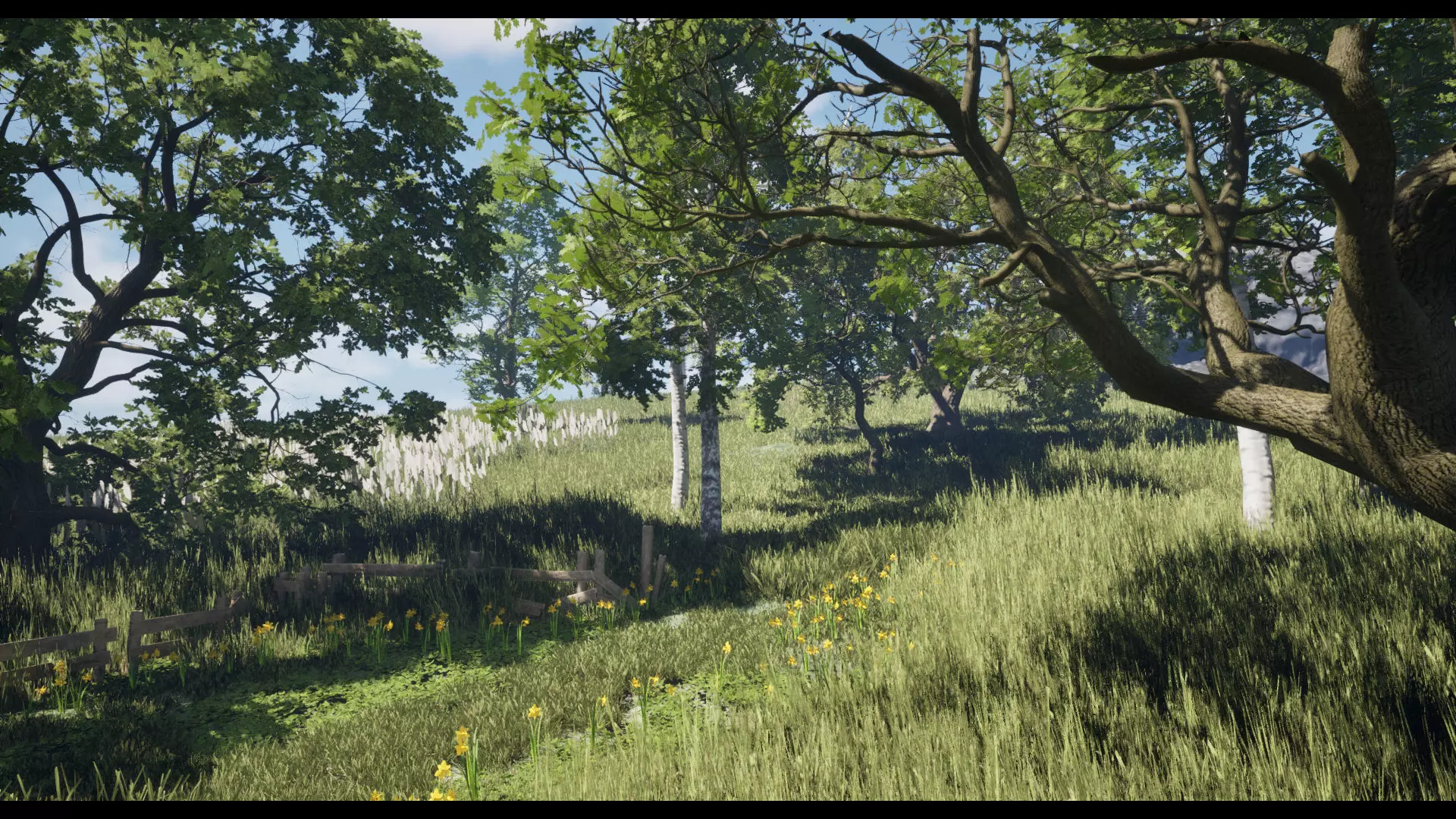 Forest Oak Birch Beech Maple Nanite Unreal Engine 5 Low-poly 3D model_9