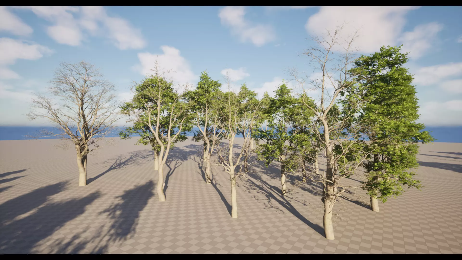 Forest Oak Birch Beech Maple Nanite Unreal Engine 5 Low-poly 3D model_21