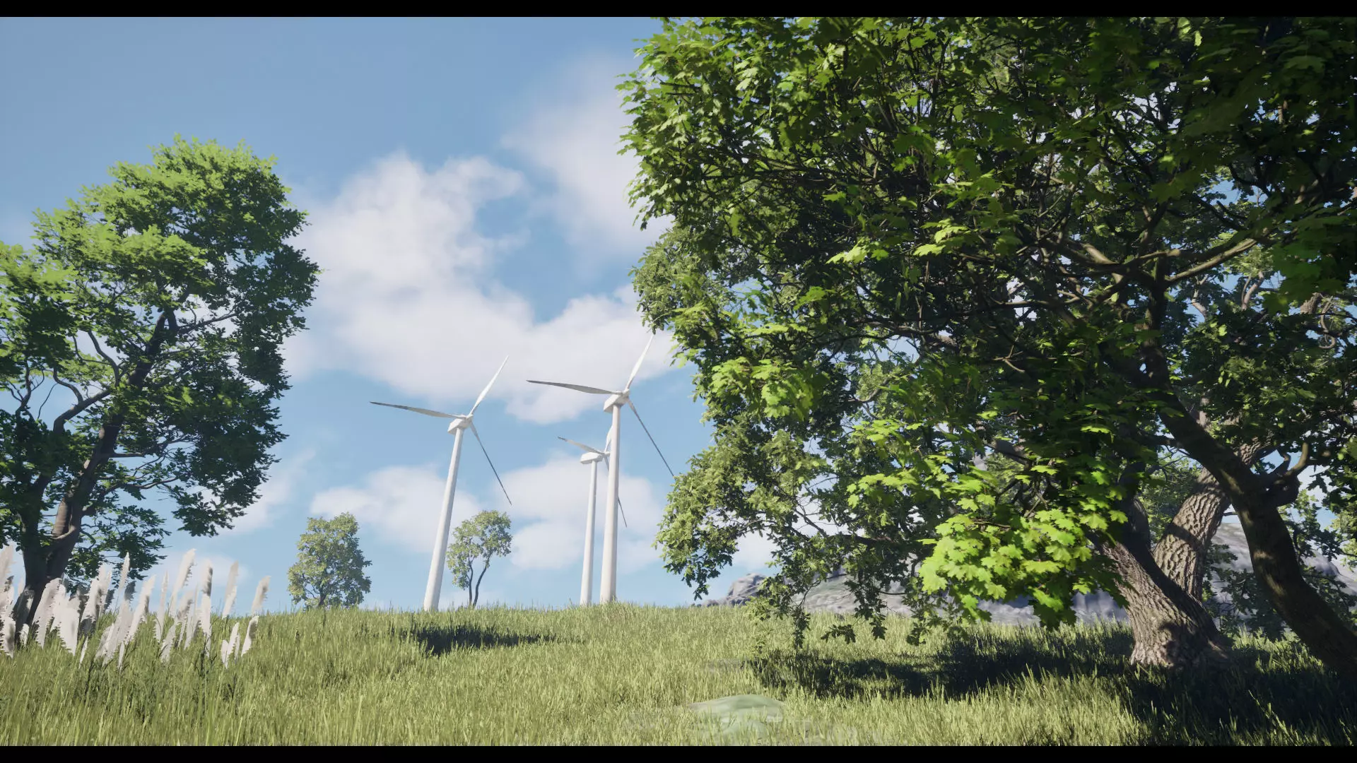 Forest Oak Birch Beech Maple Nanite Unreal Engine 5 Low-poly 3D model_13