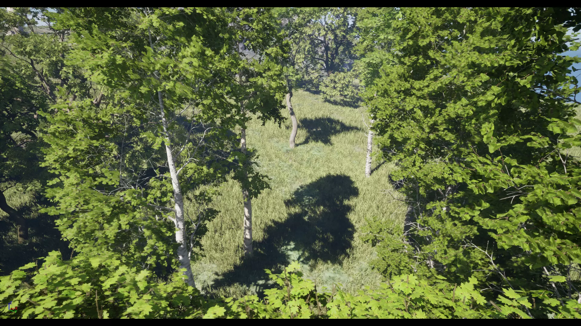 Forest Oak Birch Beech Maple Nanite Unreal Engine 5 Low-poly 3D model_30