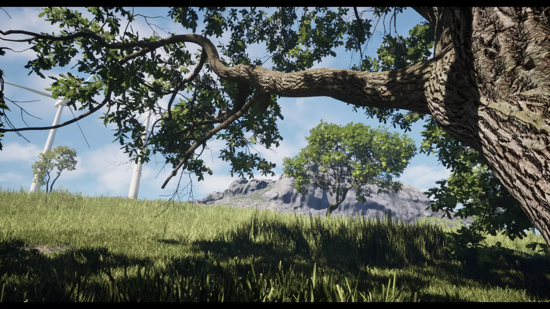 Forest Oak Birch Beech Maple Nanite Unreal Engine 5 Low-poly 3D model_14