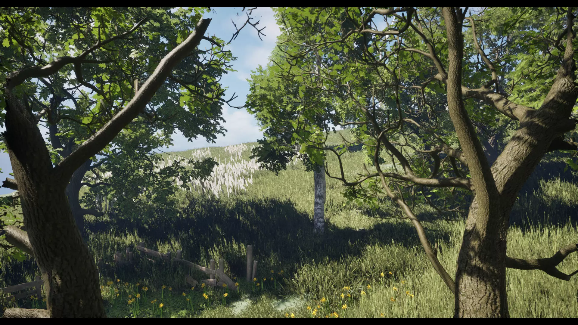 Forest Oak Birch Beech Maple Nanite Unreal Engine 5 Low-poly 3D model_11