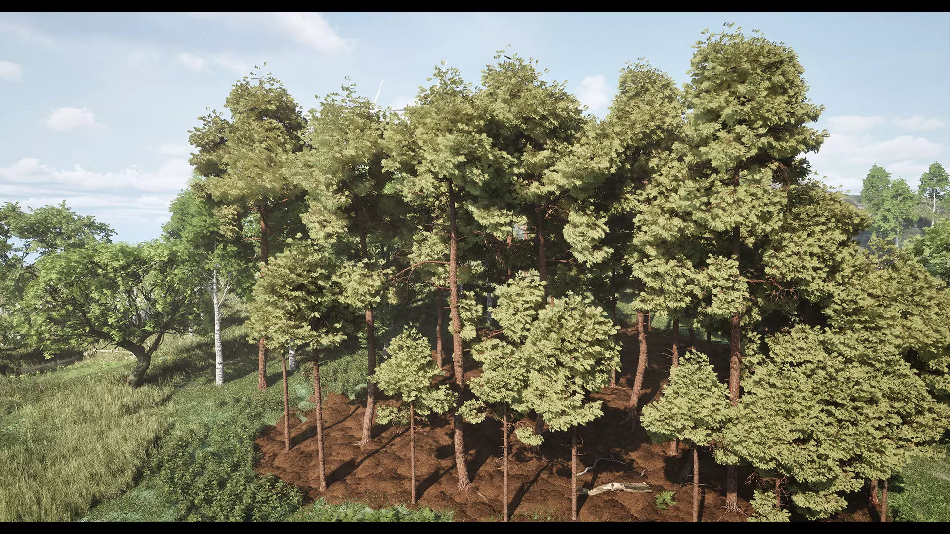 Forest Oak Birch Beech Maple Nanite Unreal Engine 5 Low-poly 3D model_6