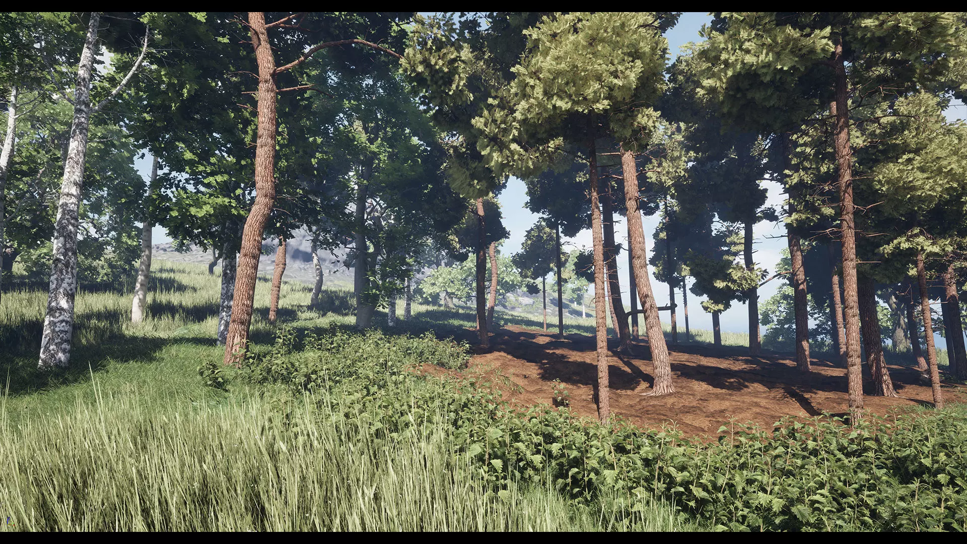 Forest Oak Birch Beech Maple Nanite Unreal Engine 5 Low-poly 3D model_5