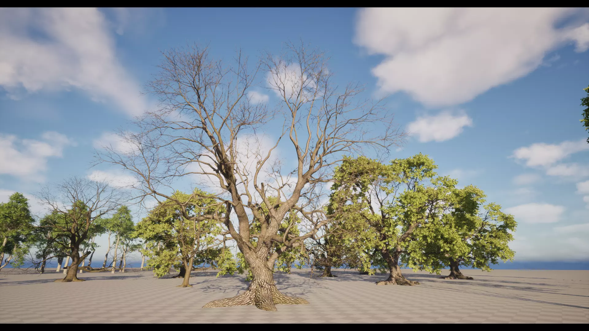 Forest Oak Birch Beech Maple Nanite Unreal Engine 5 Low-poly 3D model_23