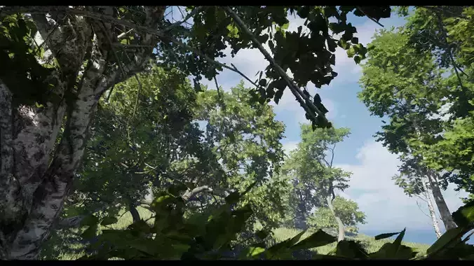 Forest Oak Birch Beech Maple Nanite Unreal Engine 5 Low-poly 3D model