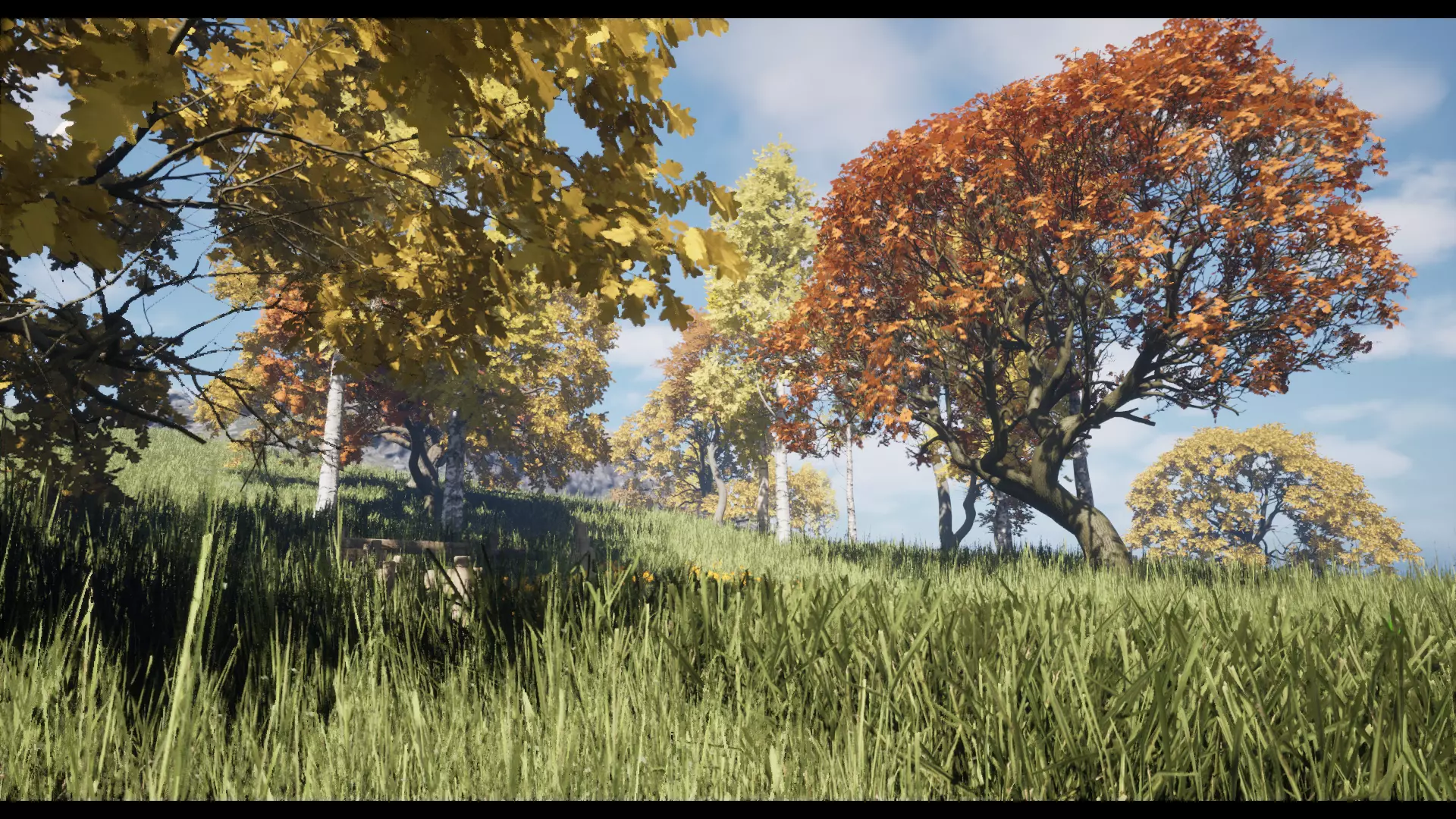 Forest Oak Birch Beech Maple Nanite Unreal Engine 5 Low-poly 3D model_12