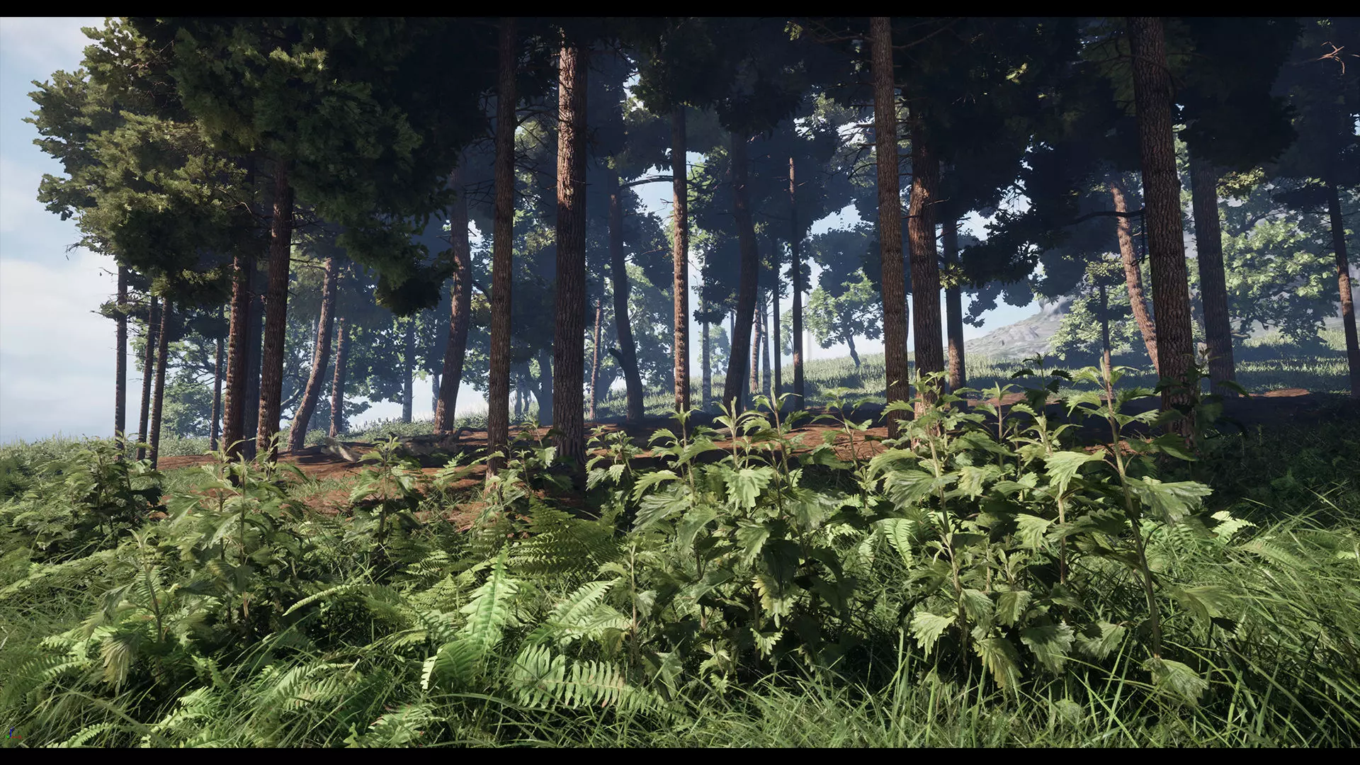 Forest Oak Birch Beech Maple Nanite Unreal Engine 5 Low-poly 3D model_3