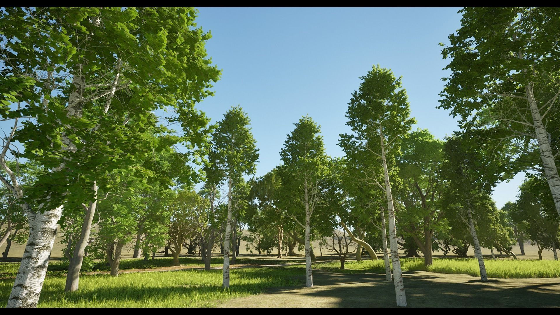 Forest Oak Birch Beech Maple Nanite Unreal Engine 5 Low-poly 3D model_26