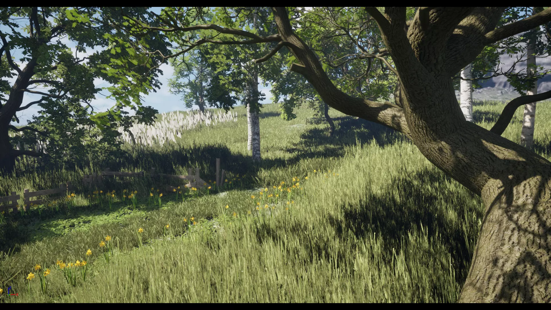 Forest Oak Birch Beech Maple Nanite Unreal Engine 5 Low-poly 3D model_31