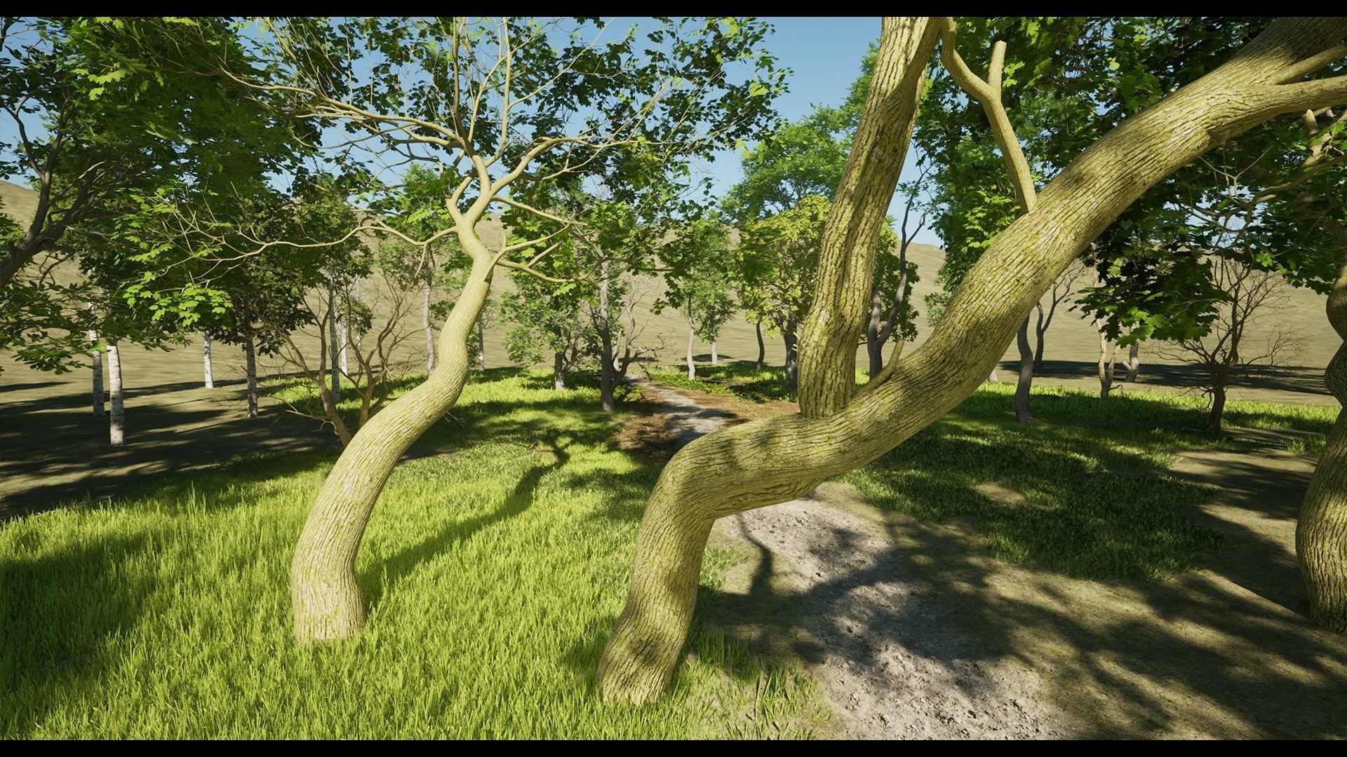 Forest Oak Birch Beech Maple Nanite Unreal Engine 5 Low-poly 3D model_27