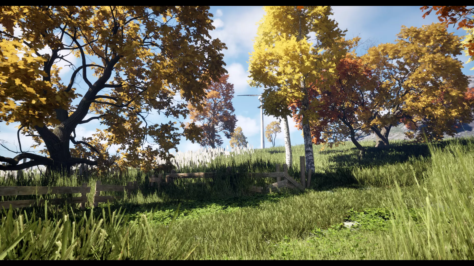 Forest Oak Birch Beech Maple Nanite Unreal Engine 5 Low-poly 3D model_8