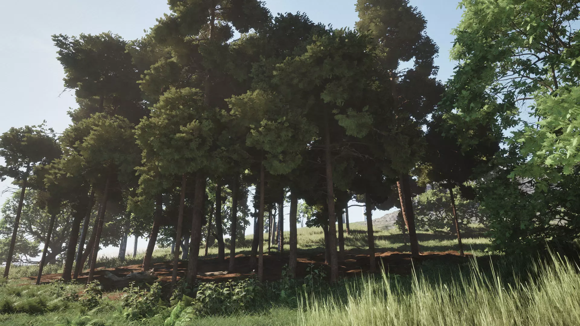 Forest Oak Birch Beech Maple Nanite Unreal Engine 5 Low-poly 3D model_0