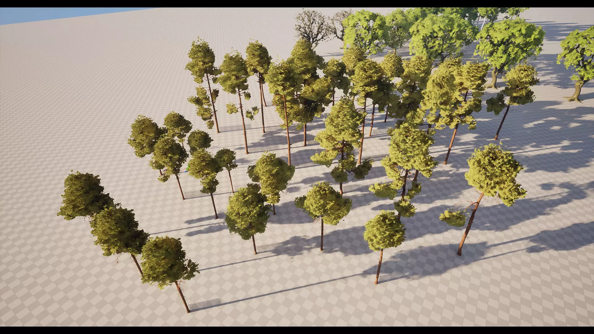 Forest Oak Birch Beech Maple Nanite Unreal Engine 5 Low-poly 3D model_19