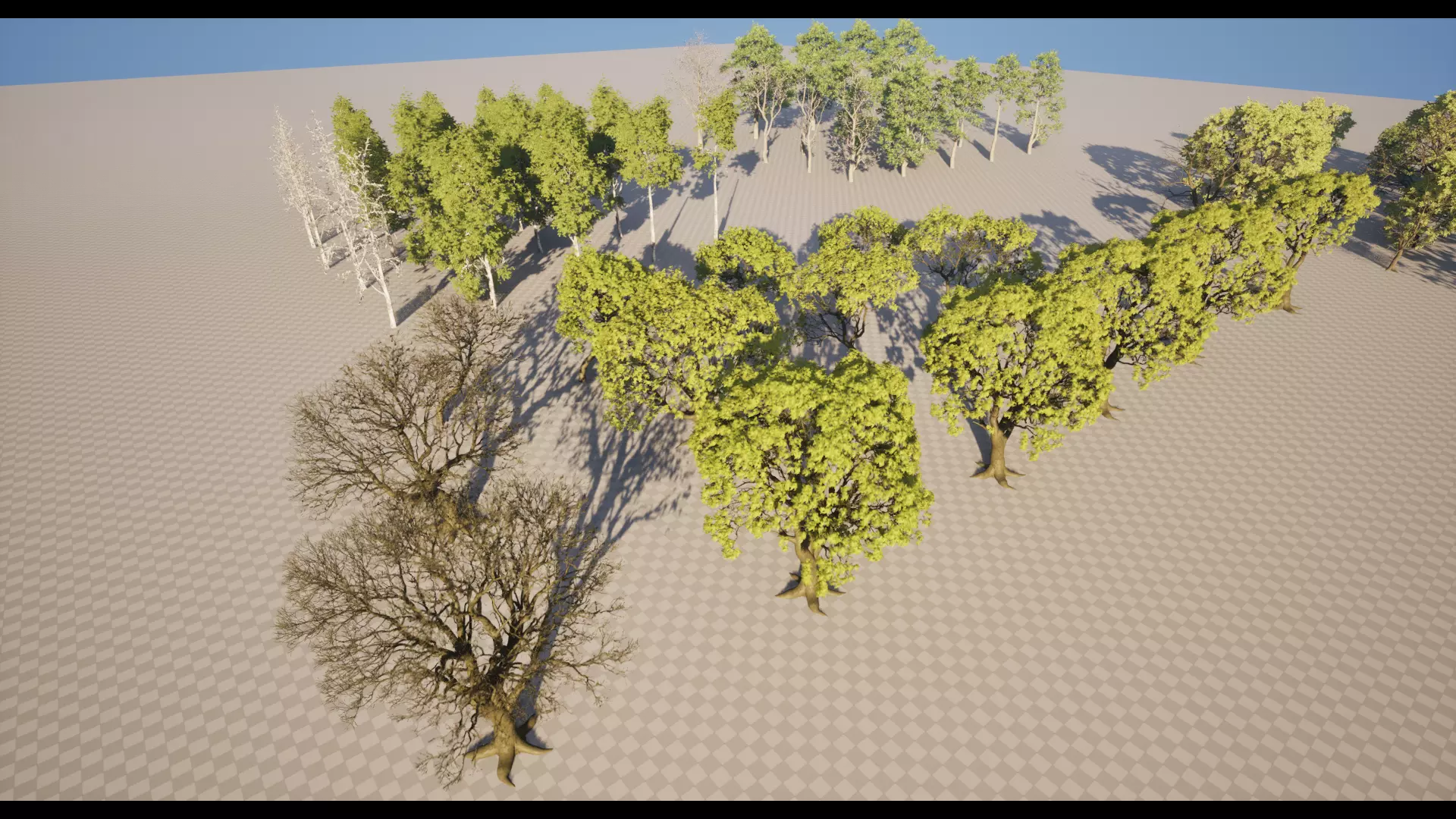 Forest Oak Birch Beech Maple Nanite Unreal Engine 5 Low-poly 3D model_20