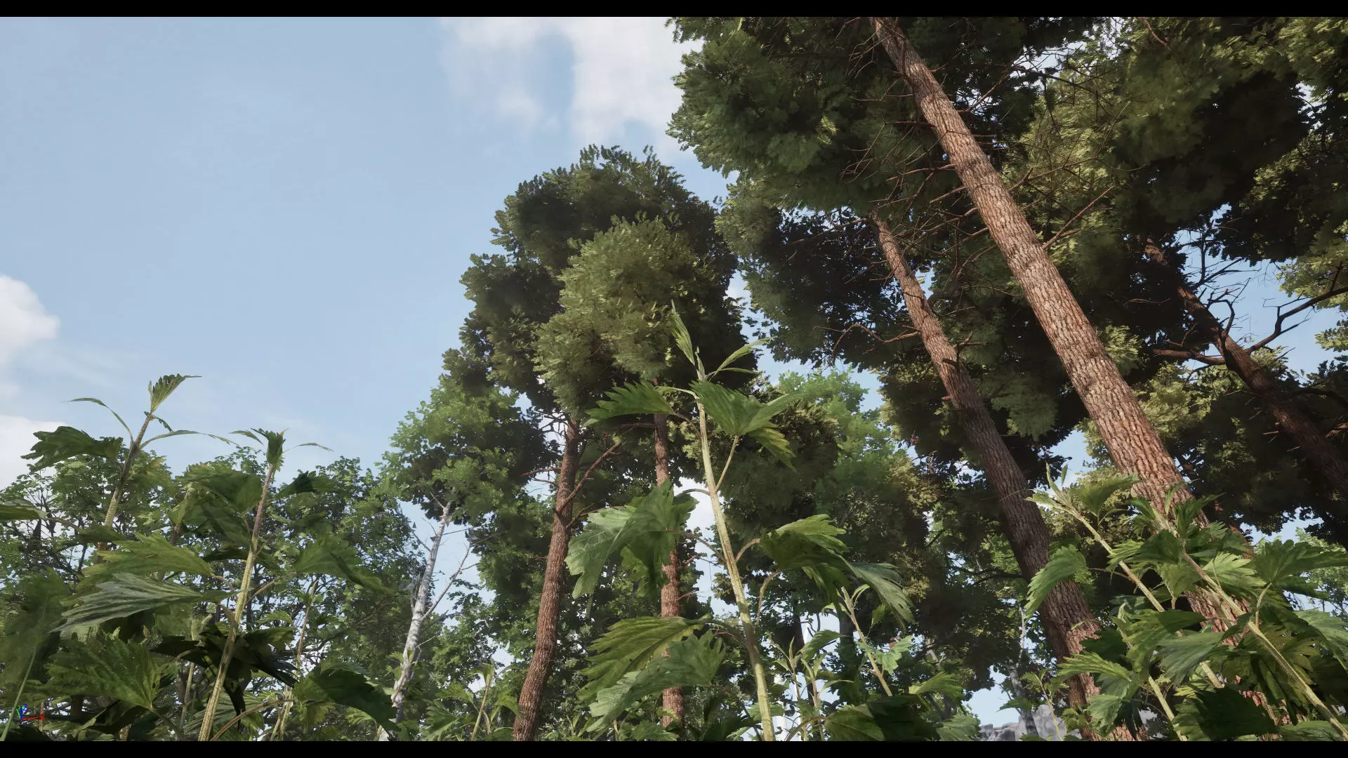 Forest Oak Birch Beech Maple Nanite Unreal Engine 5 Low-poly 3D model_2