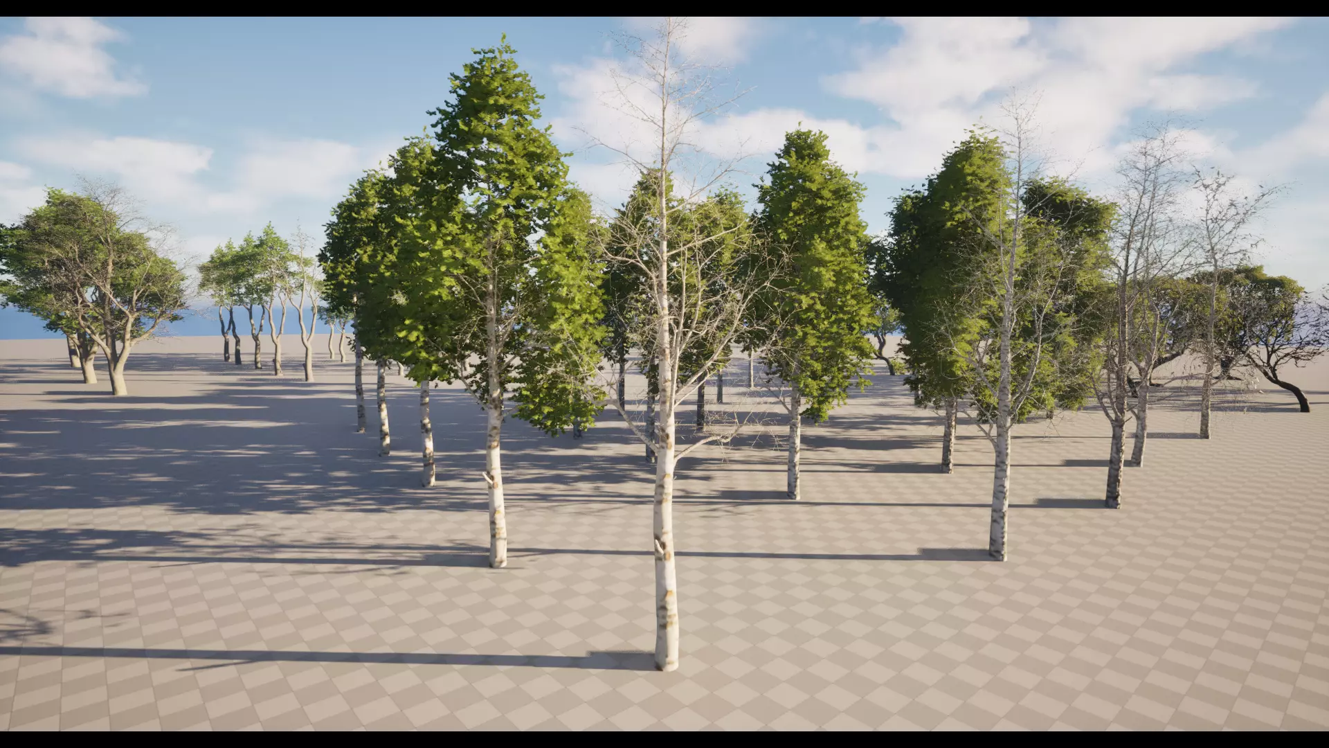 Forest Oak Birch Beech Maple Nanite Unreal Engine 5 Low-poly 3D model_18