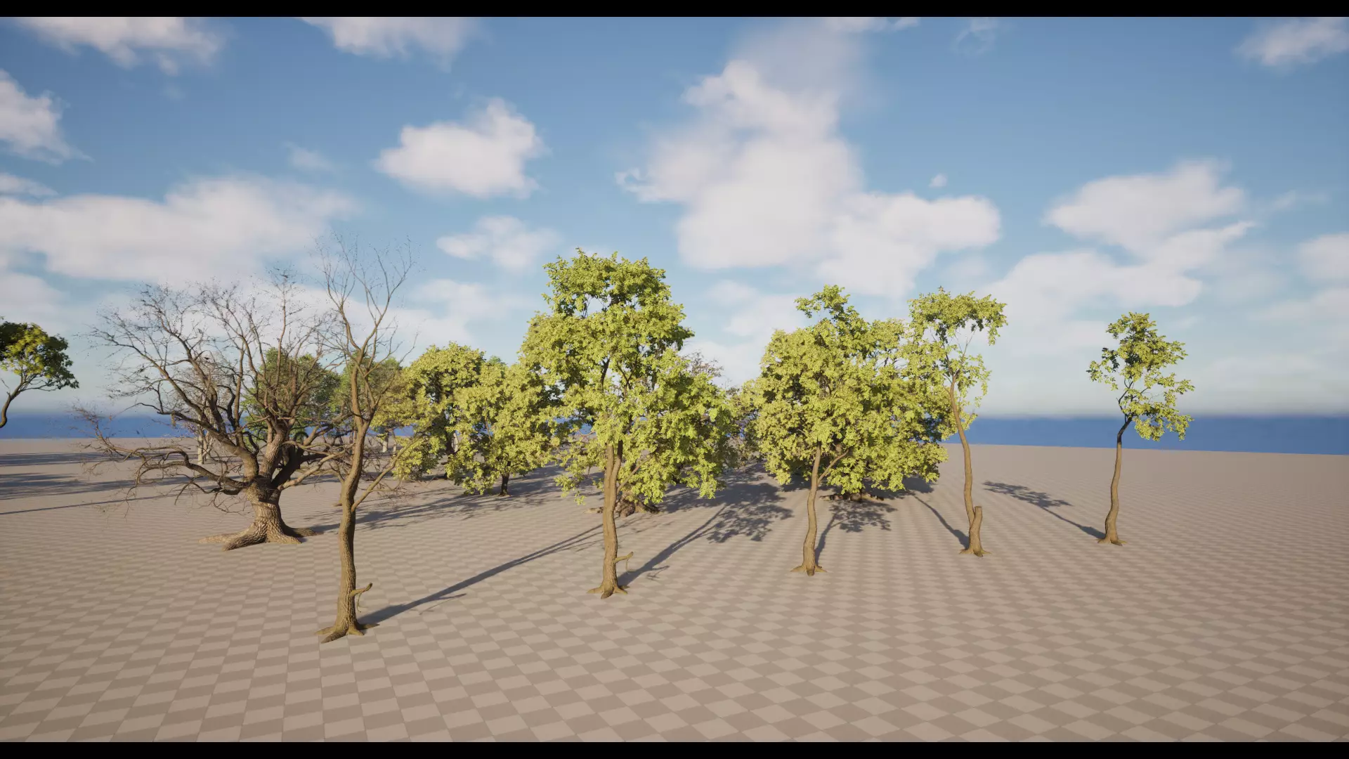 Forest Oak Birch Beech Maple Nanite Unreal Engine 5 Low-poly 3D model_22