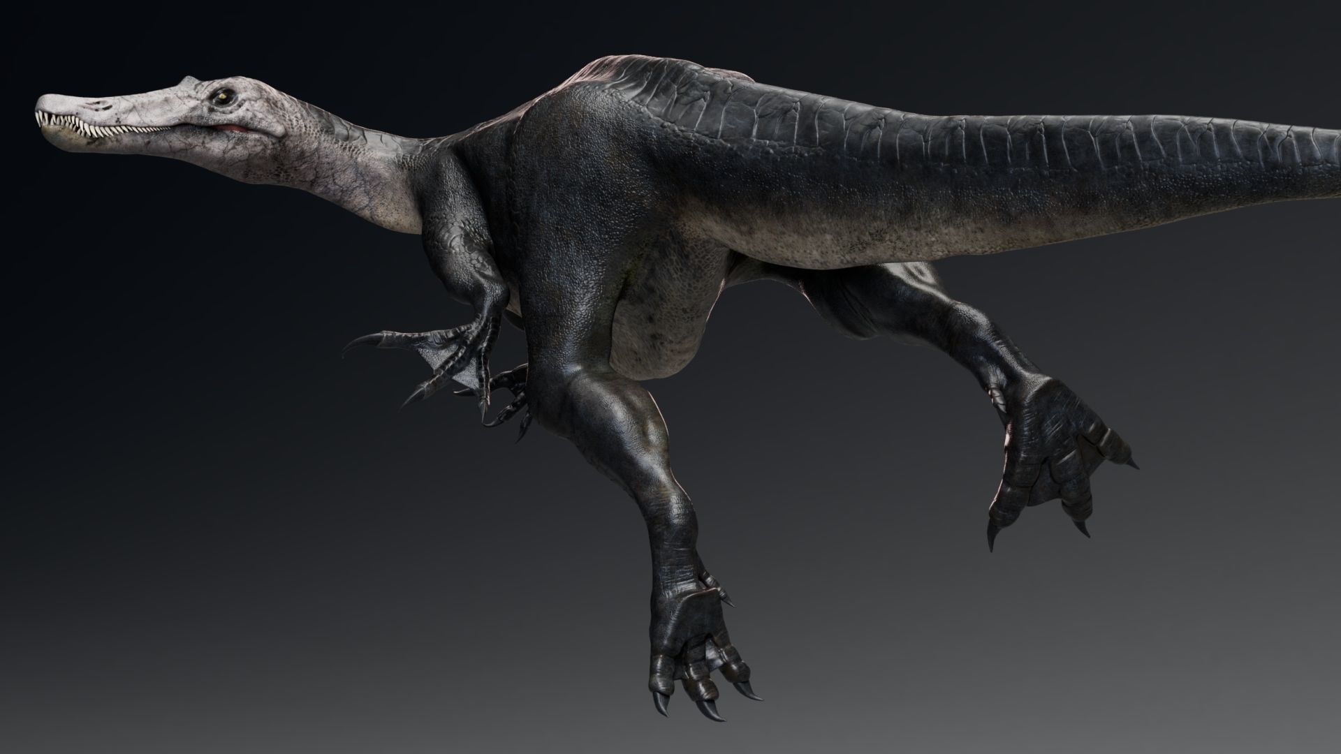 Dinosaur Baryonyx Walkeri Unreal Engine and Unity Project Low-poly 3D model_7