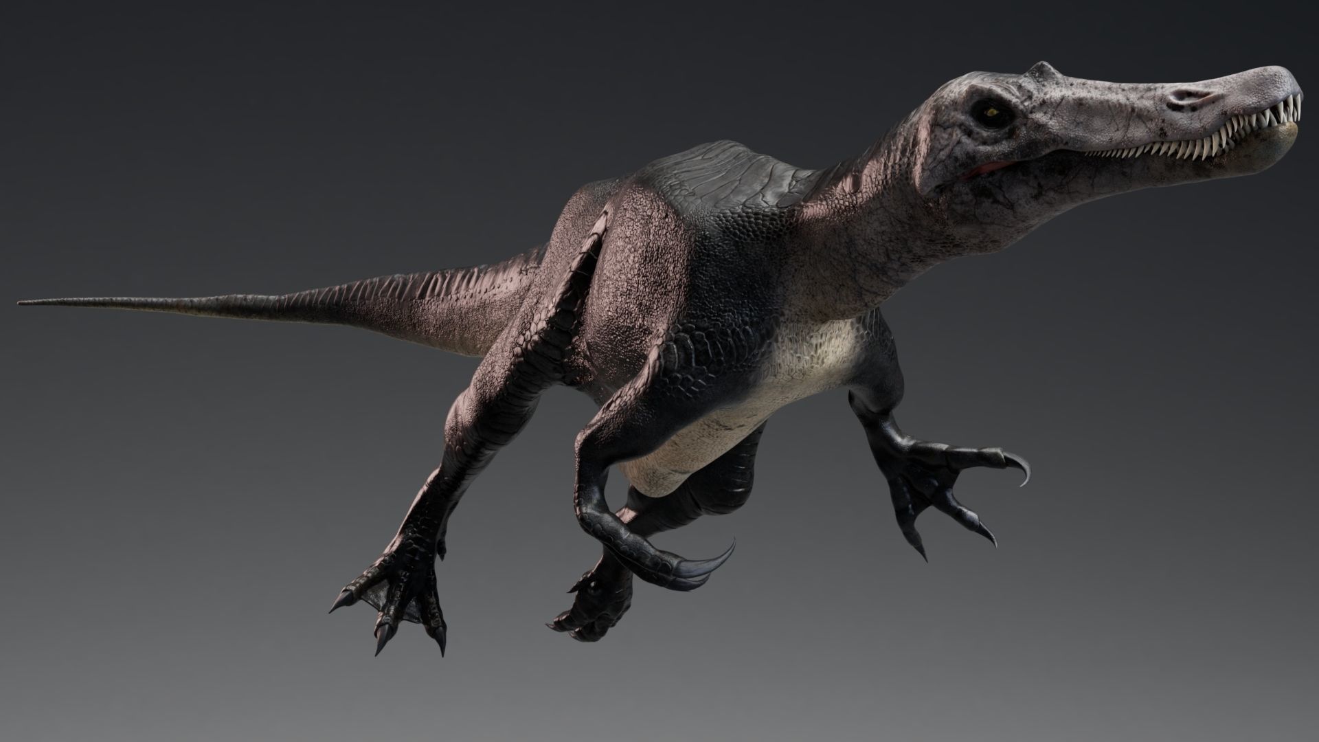 Dinosaur Baryonyx Walkeri Unreal Engine and Unity Project Low-poly 3D model_8