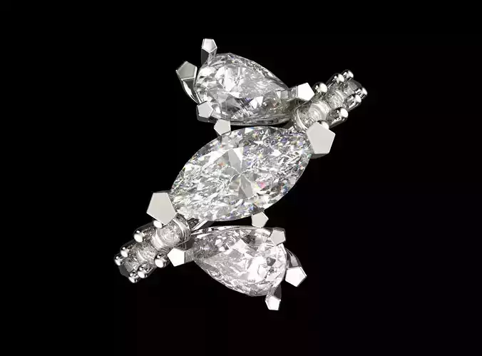 Miel de bague 3D print model