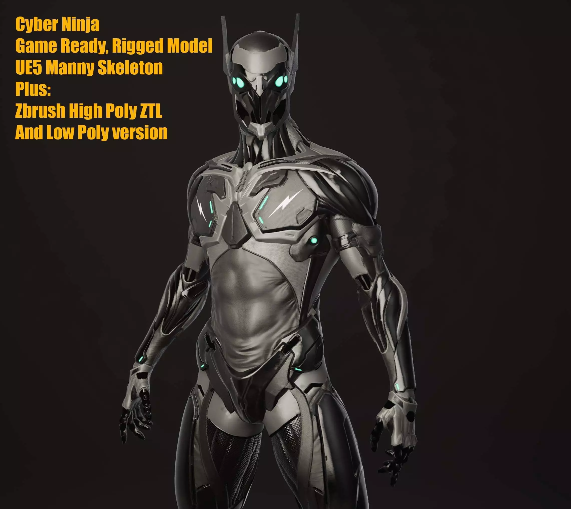 Cyber Ninja Low-poly 3D model_0