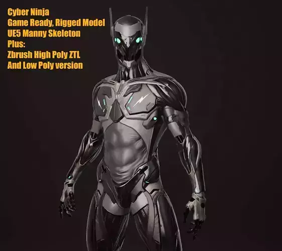 Cyber Ninja Low-poly 3D model