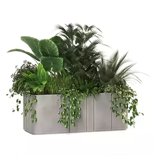Indoor plants in concrete box set-72