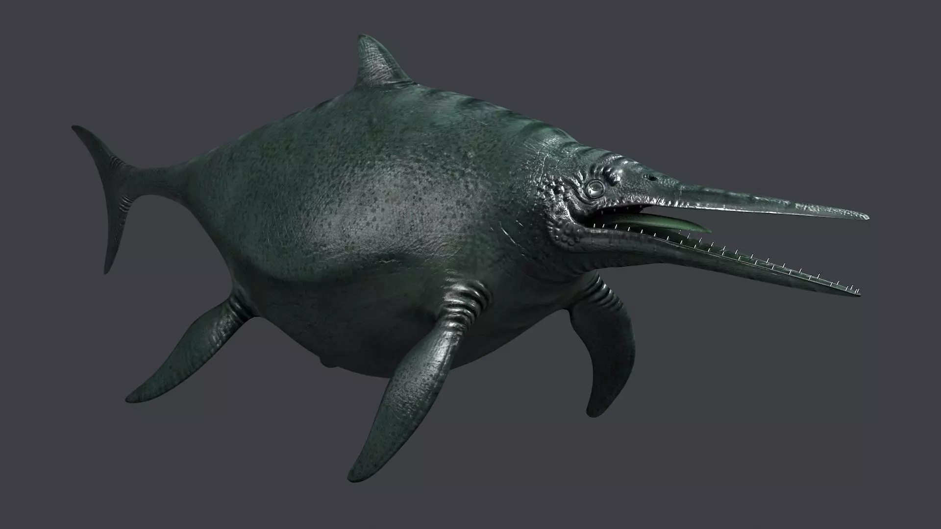 Ichthyosaur ichthyosaurus giant lizard fish marine reptile 3D model_0