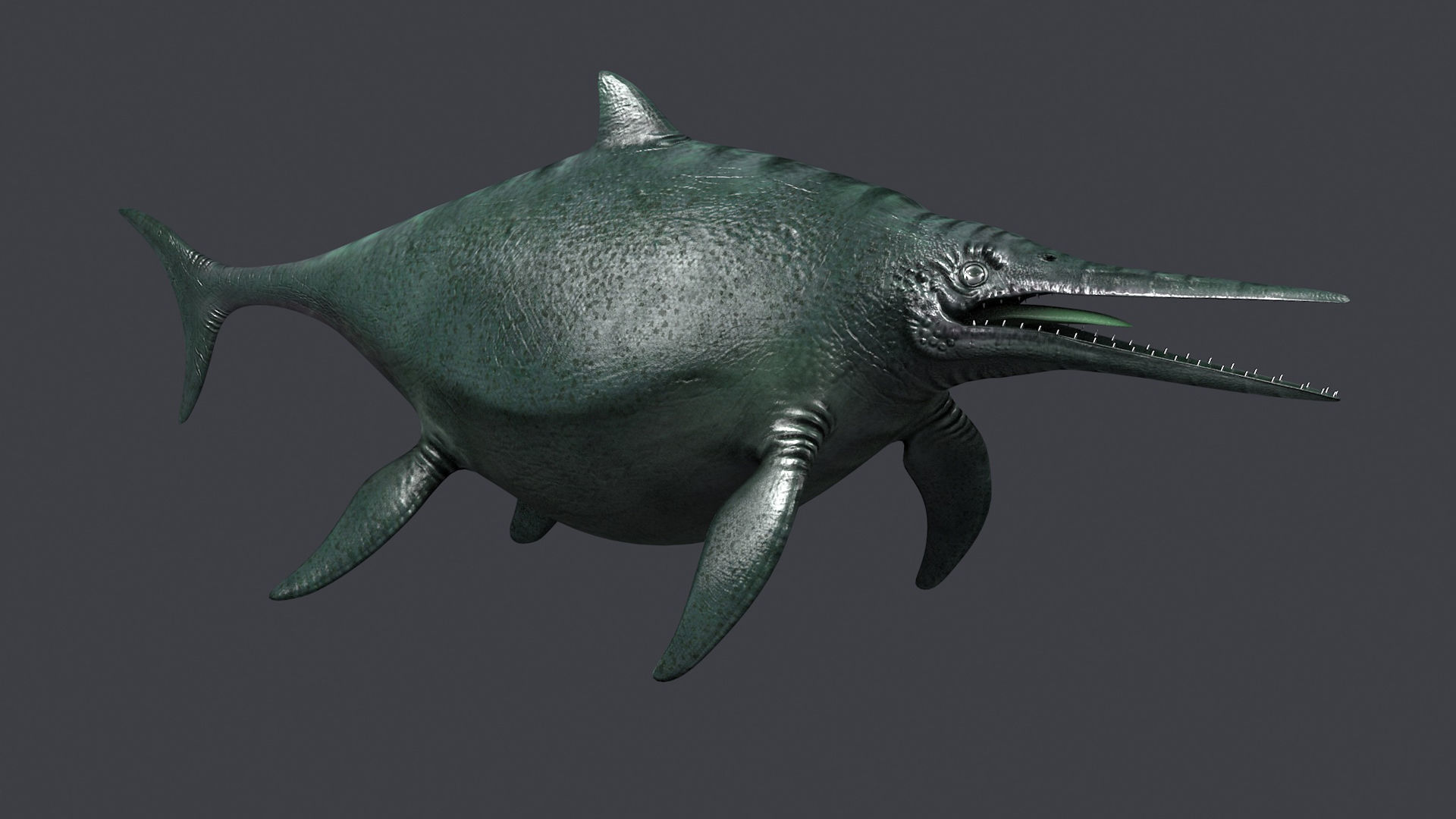 Ichthyosaur ichthyosaurus giant lizard fish marine reptile 3D model_4