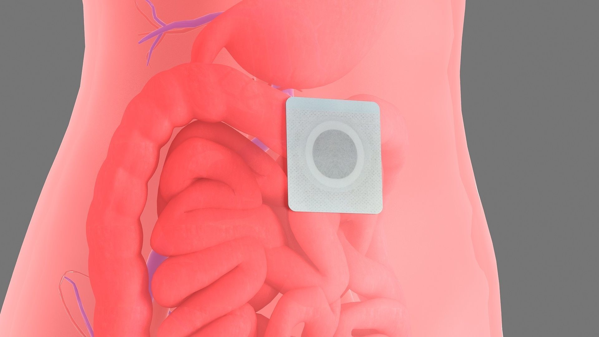 Stomach patch magnetic patch animation 3D model_2