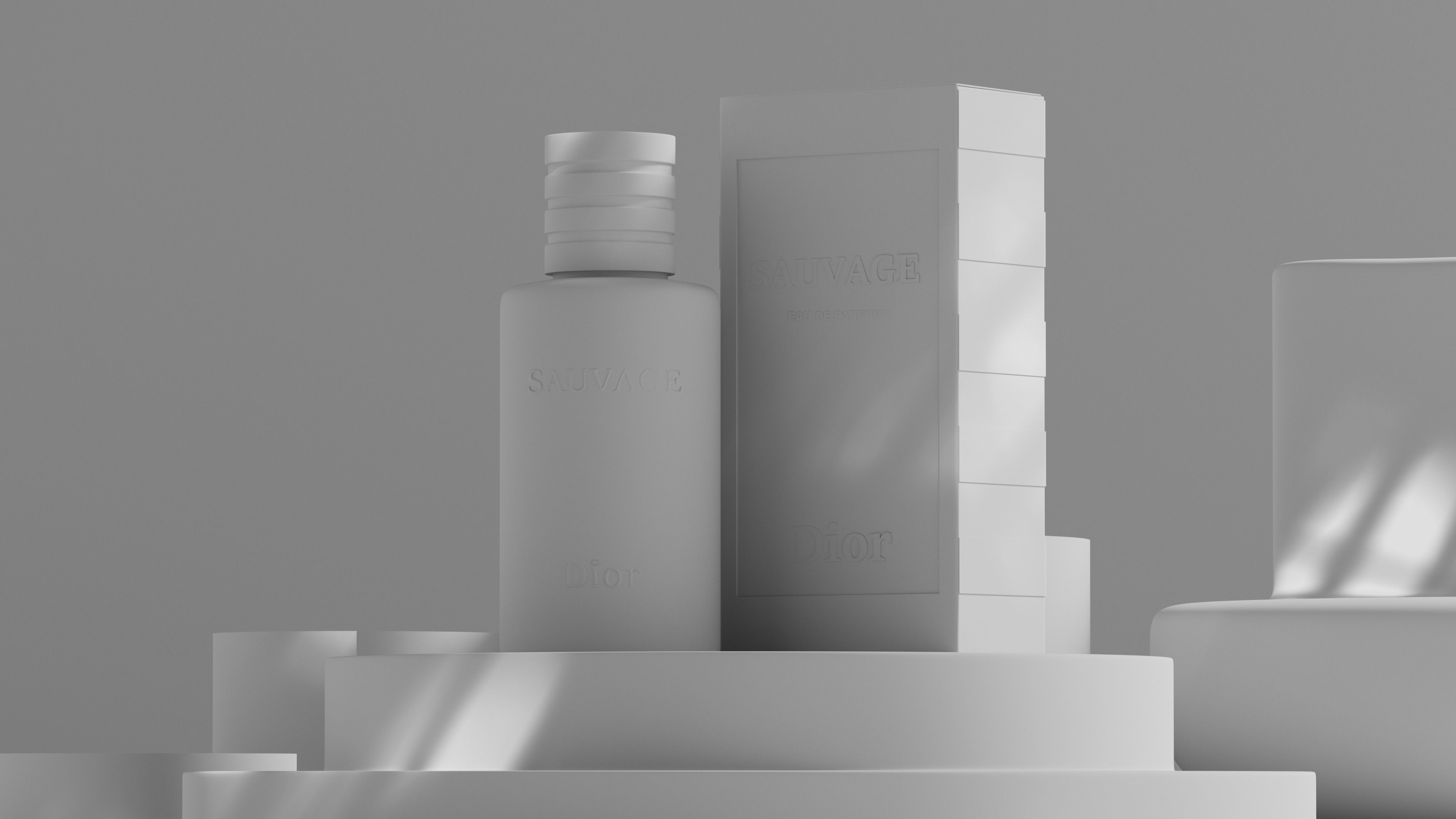 Dior Sauvage Parfume 3D model_2