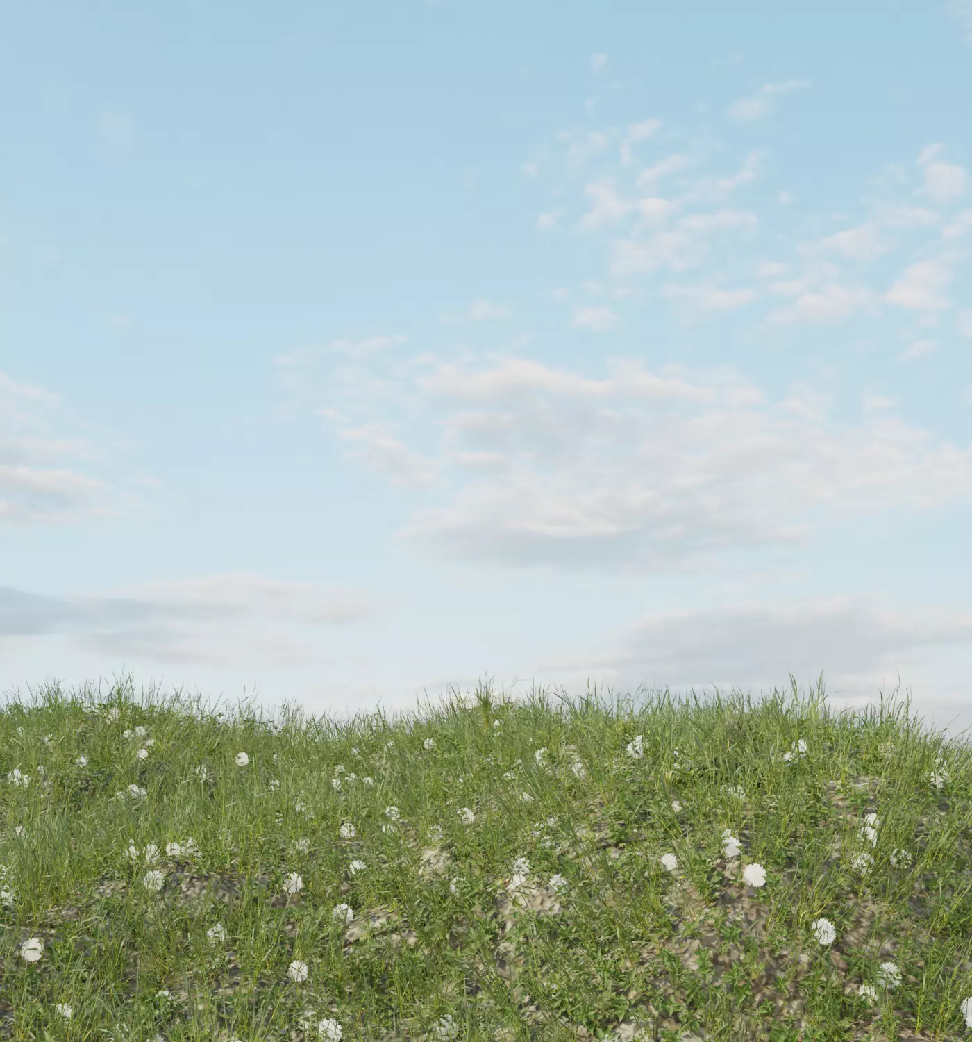 Grassy Ground Material field of flowers Texture