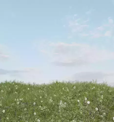 Grassy Ground Material field of flowers