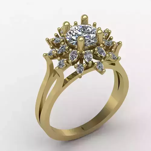 Cluster ring 02