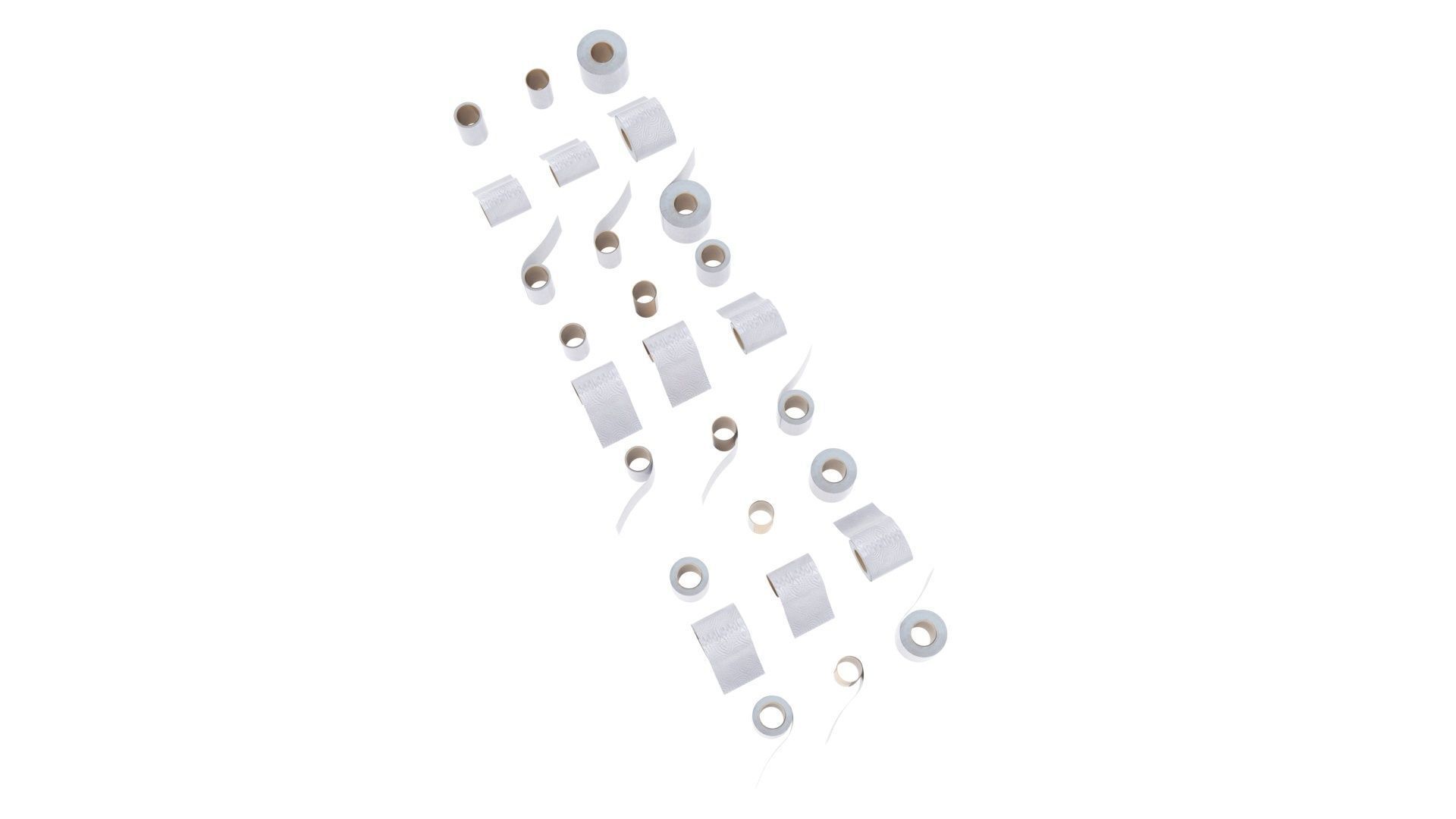 Toilet Papers 3D model_13