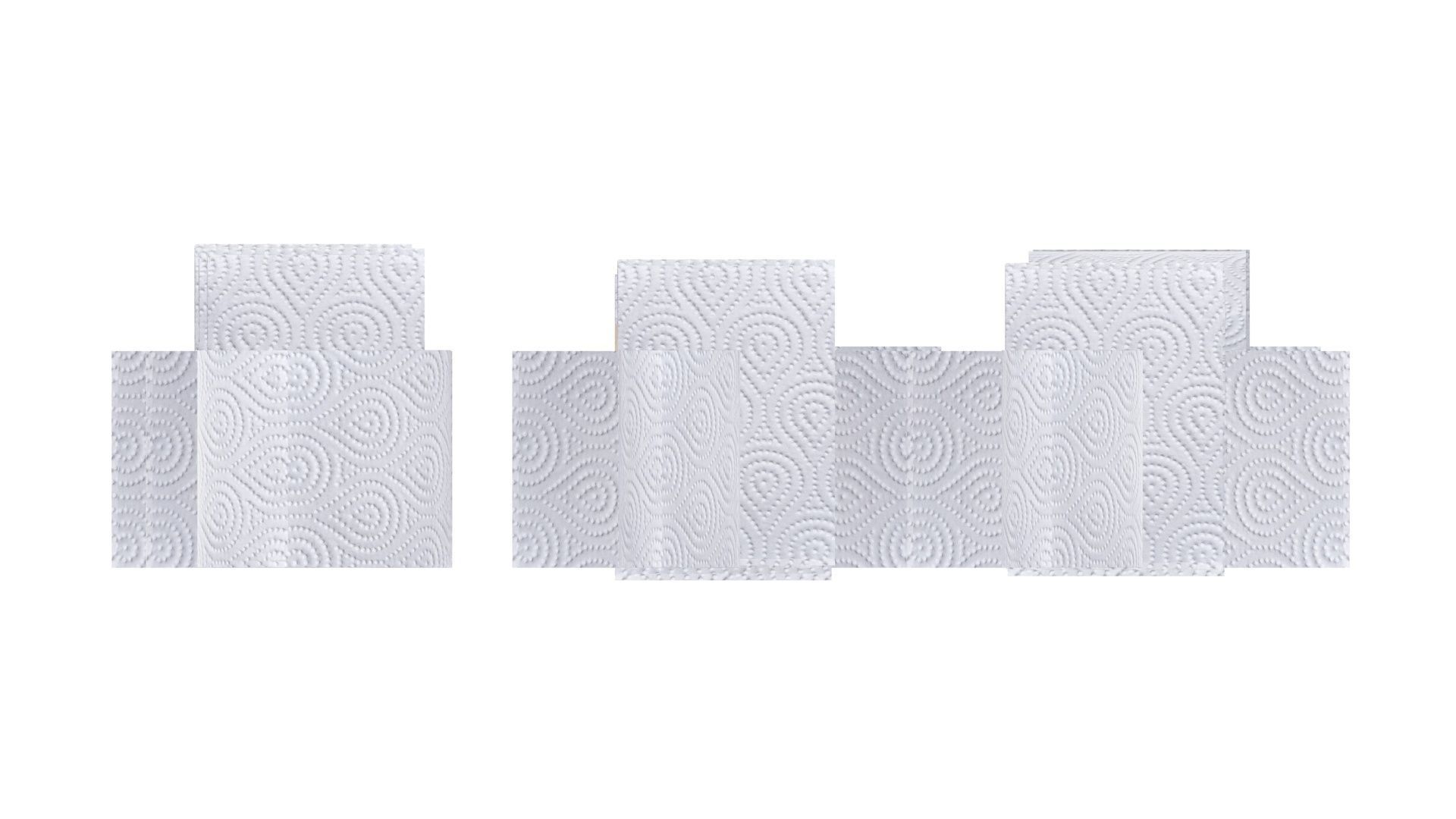 Toilet Papers 3D model_19