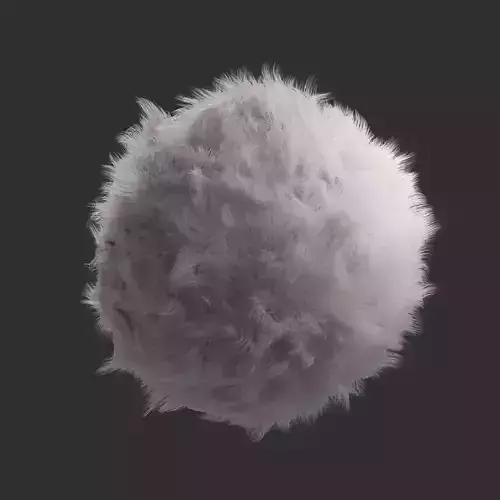 Fur Material Texture